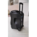 12 Inch Bluetooth Speaker with Trolley and LED (CX-12D)